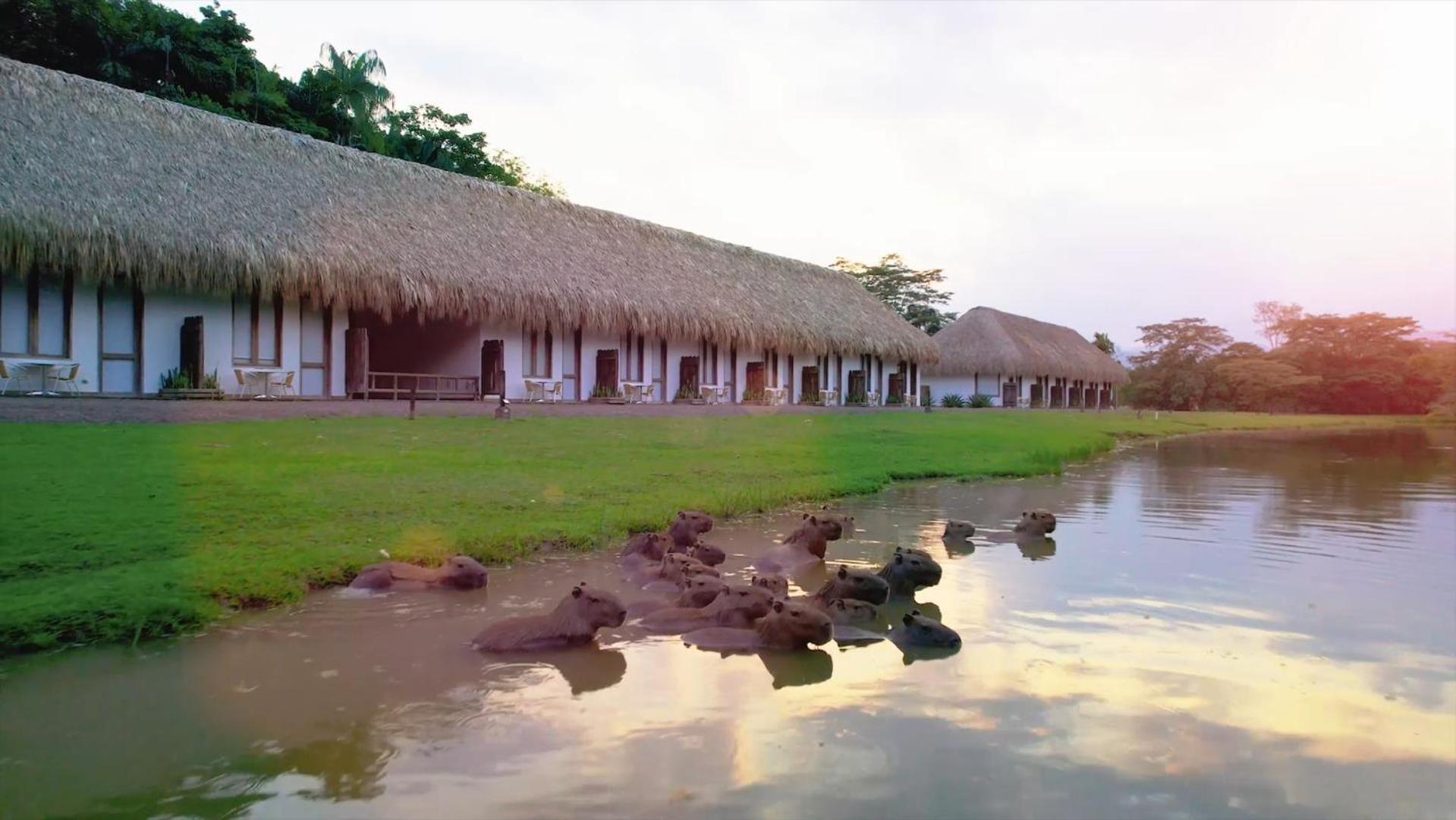 Hotel Reserva De Piedemonte 比亚维森西奥 外观 照片