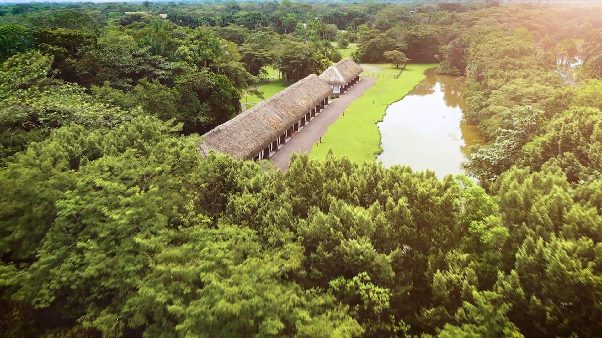Hotel Reserva De Piedemonte La Palmera 外观 照片