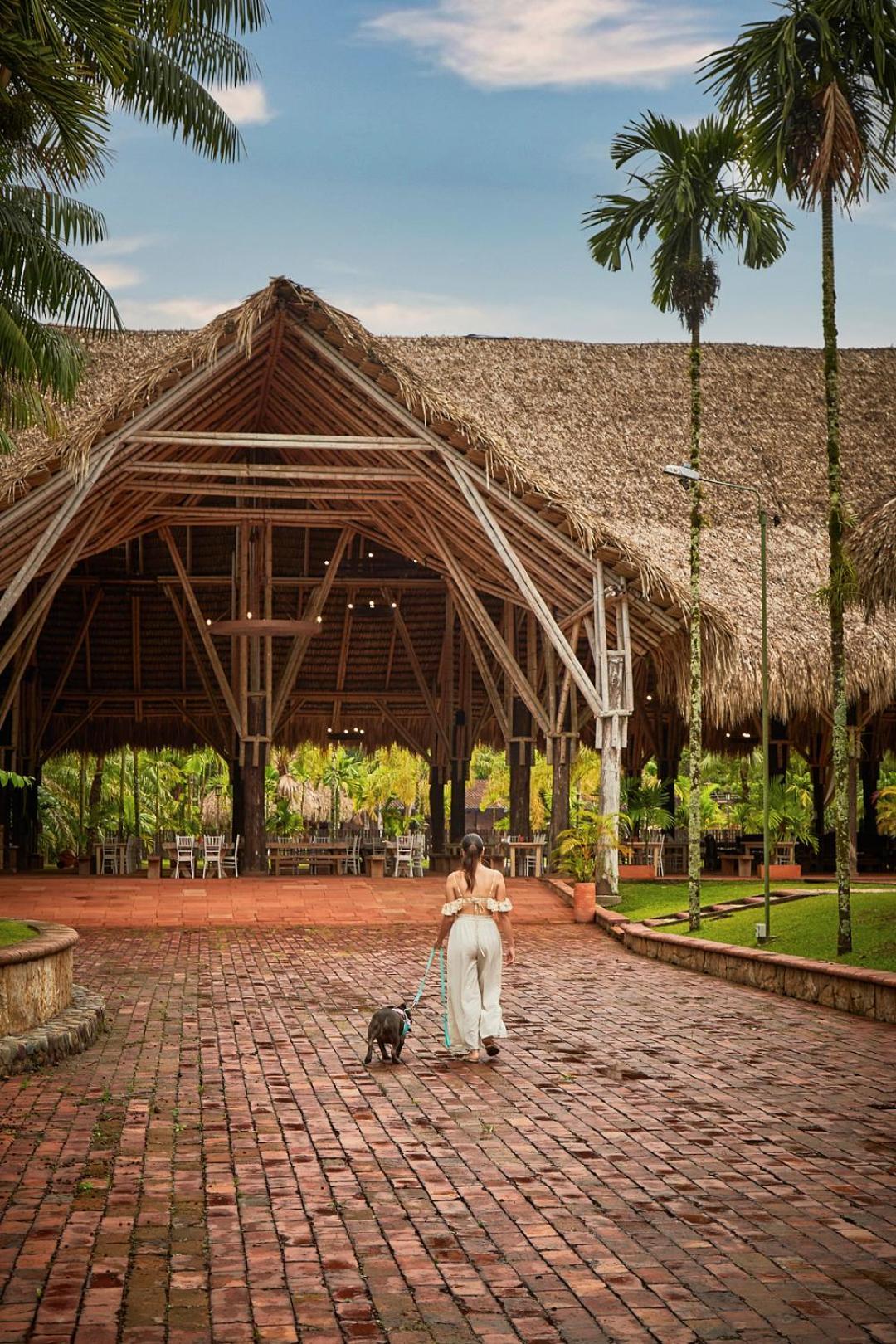 Hotel Reserva De Piedemonte La Palmera 外观 照片