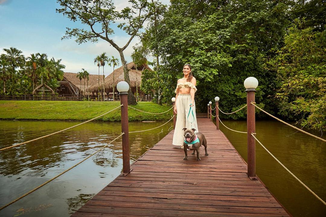 Hotel Reserva De Piedemonte 比亚维森西奥 外观 照片
